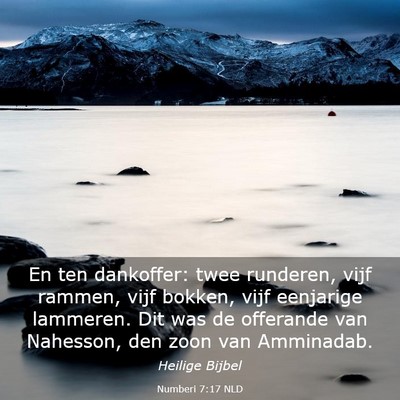 Picture 03 - Numberi 7:17 NLD - En ten dankoffer: twee runderen, vijf rammen, - Bible Verse Picture