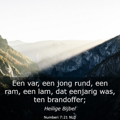 Picture 03 - Numberi 7:21 NLD - Een var, een jong rund, een ram, een lam, dat - Bible Verse Picture
