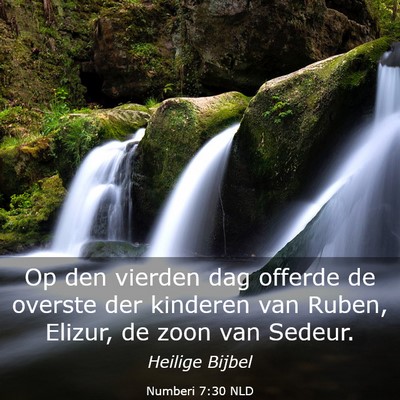 Picture 03 - Numberi 7:30 NLD - Op den vierden dag offerde de overste der - Bible Verse Picture