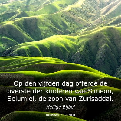 Picture 03 - Numberi 7:36 NLD - Op den vijfden dag offerde de overste der - Bible Verse Picture