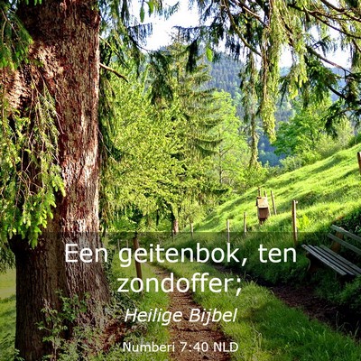 Picture 03 - Numberi 7:40 NLD - Een geitenbok, ten - Bible Verse Picture
