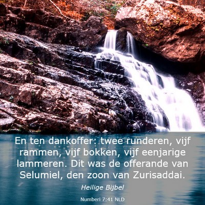 Picture 03 - Numberi 7:41 NLD - En ten dankoffer: twee runderen, vijf rammen, - Bible Verse Picture