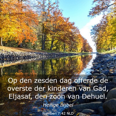 Picture 03 - Numberi 7:42 NLD - Op den zesden dag offerde de overste der kinderen - Bible Verse Picture