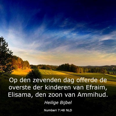 Picture 03 - Numberi 7:48 NLD - Op den zevenden dag offerde de overste der - Bible Verse Picture