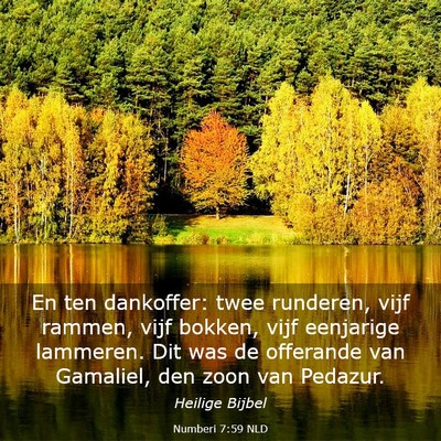 Picture 03 - Numberi 7:59 NLD - En ten dankoffer: twee runderen, vijf rammen, - Bible Verse Picture