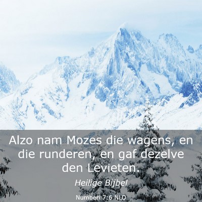 Picture 03 - Numberi 7:6 NLD - Alzo nam Mozes die wagens, en die runderen, en - Bible Verse Picture
