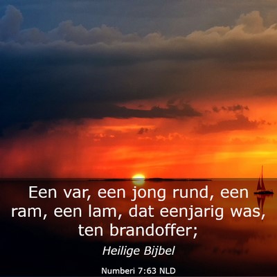 Picture 03 - Numberi 7:63 NLD - Een var, een jong rund, een ram, een lam, dat - Bible Verse Picture