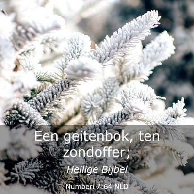 Picture 03 - Numberi 7:64 NLD - Een geitenbok, ten - Bible Verse Picture