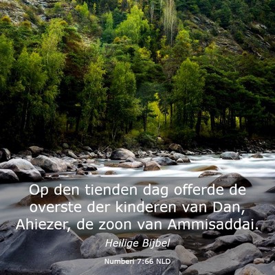 Picture 03 - Numberi 7:66 NLD - Op den tienden dag offerde de overste der - Bible Verse Picture