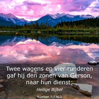 Picture 03 - Numberi 7:7 NLD - Twee wagens en vier runderen gaf hij den zonen - Bible Verse Picture