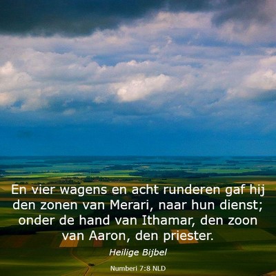 Picture 03 - Numberi 7:8 NLD - En vier wagens en acht runderen gaf hij den zonen - Bible Verse Picture