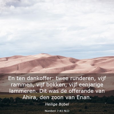 Picture 03 - Numberi 7:83 NLD - En ten dankoffer: twee runderen, vijf rammen, - Bible Verse Picture