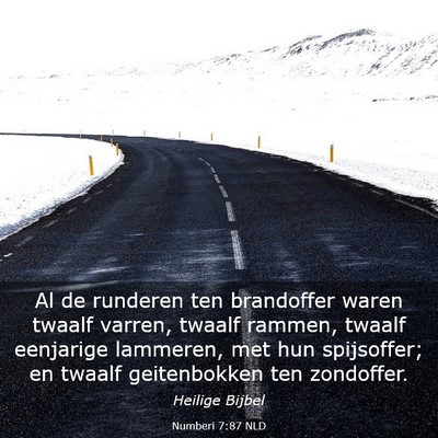 Picture 03 - Numberi 7:87 NLD - Al de runderen ten brandoffer waren twaalf - Bible Verse Picture