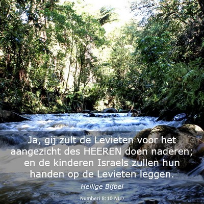 Picture 03 - Numberi 8:10 NLD - Ja, gij zult de Levieten voor het aangezicht des - Bible Verse Picture