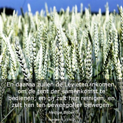 Picture 03 - Numberi 8:15 NLD - En daarna zullen de Levieten inkomen, om de tent - Bible Verse Picture