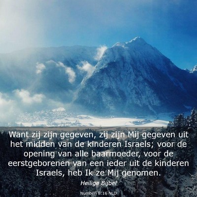 Picture 03 - Numberi 8:16 NLD - Want zij zijn gegeven, zij zijn Mij gegeven uit - Bible Verse Picture