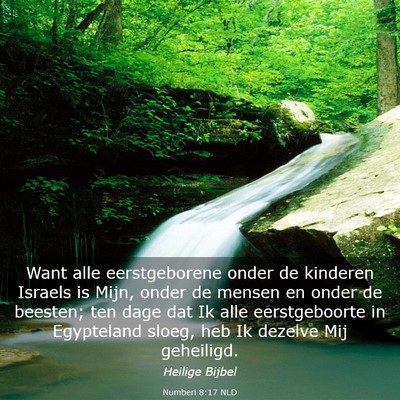 Picture 03 - Numberi 8:17 NLD - Want alle eerstgeborene onder de kinderen Israels - Bible Verse Picture