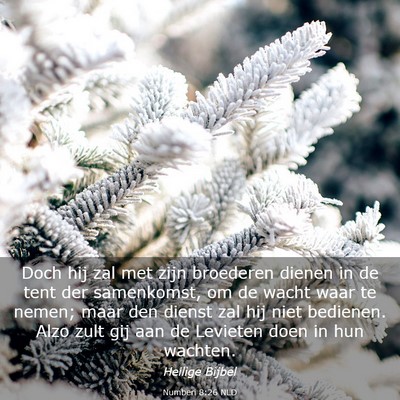 Picture 03 - Numberi 8:26 NLD - Doch hij zal met zijn broederen dienen in de tent - Bible Verse Picture