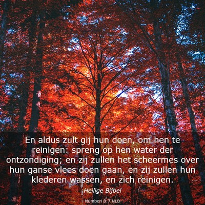 Picture 03 - Numberi 8:7 NLD - En aldus zult gij hun doen, om hen te reinigen: - Bible Verse Picture