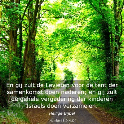 Picture 03 - Numberi 8:9 NLD - En gij zult de Levieten voor de tent der - Bible Verse Picture