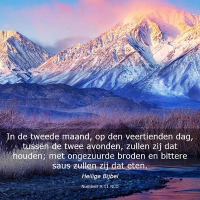 Picture 03 - Numberi 9:11 NLD - In de tweede maand, op den veertienden dag, - Bible Verse Picture