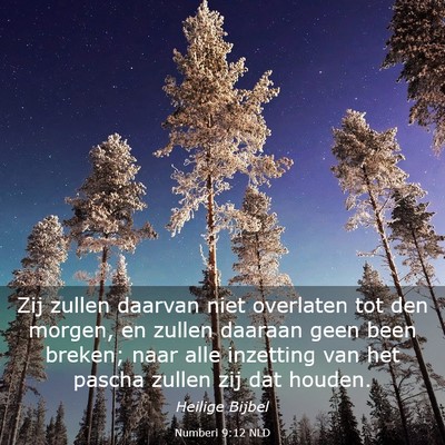 Picture 03 - Numberi 9:12 NLD - Zij zullen daarvan niet overlaten tot den morgen, - Bible Verse Picture