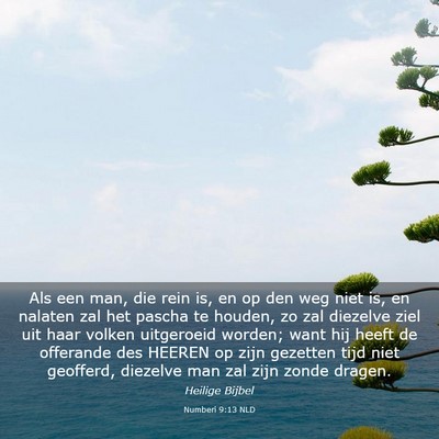 Picture 03 - Numberi 9:13 NLD - Als een man, die rein is, en op den weg niet is, - Bible Verse Picture