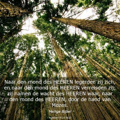 Picture 03 - Numberi 9:23 NLD - Naar den mond des HEEREN legerden zij zich, en - Bible Verse Picture