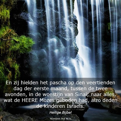Picture 03 - Numberi 9:5 NLD - En zij hielden het pascha op den veertienden dag - Bible Verse Picture