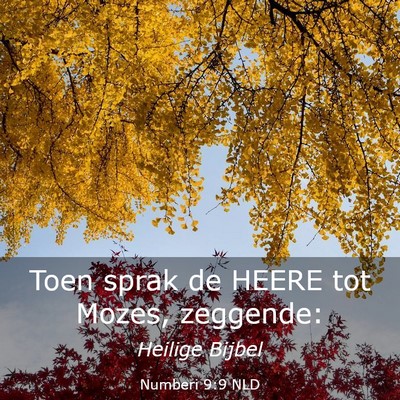 Picture 03 - Numberi 9:9 NLD - Toen sprak de HEERE tot Mozes, - Bible Verse Picture