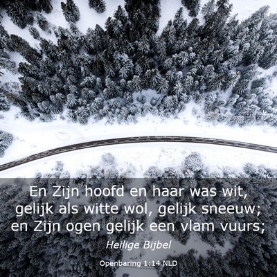 Picture 03 - Openbaring 1:14 NLD - En Zijn hoofd en haar was wit, gelijk als witte - Bible Verse Picture