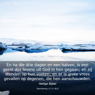 Picture 03 - Openbaring 11:11 NLD - En na die drie dagen en een halven, is een geest - Bible Verse Picture