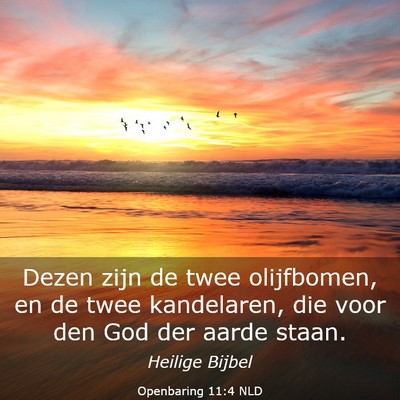 Picture 03 - Openbaring 11:4 NLD - Dezen zijn de twee olijfbomen, en de twee - Bible Verse Picture
