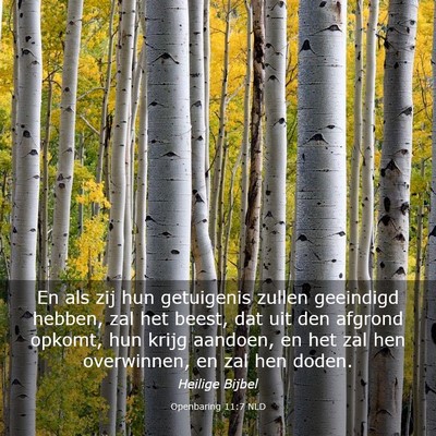 Picture 03 - Openbaring 11:7 NLD - En als zij hun getuigenis zullen geeindigd - Bible Verse Picture