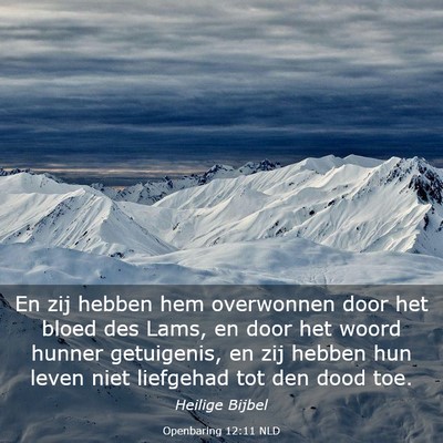 Picture 03 - Openbaring 12:11 NLD - En zij hebben hem overwonnen door het bloed des - Bible Verse Picture