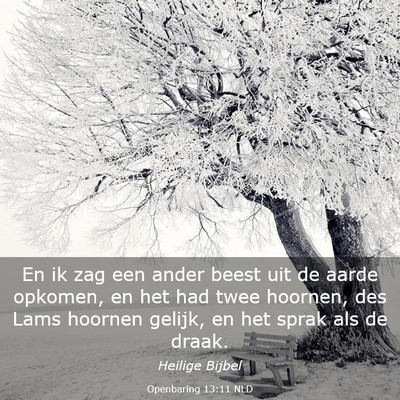Picture 03 - Openbaring 13:11 NLD - En ik zag een ander beest uit de aarde opkomen, - Bible Verse Picture