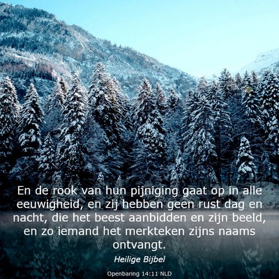 Picture 03 - Openbaring 14:11 NLD - En de rook van hun pijniging gaat op in alle - Bible Verse Picture