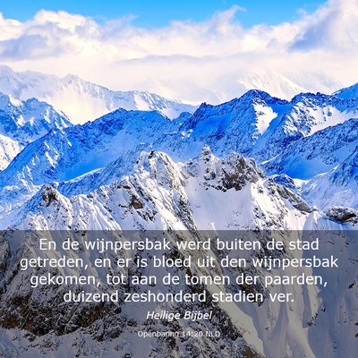 Picture 03 - Openbaring 14:20 NLD - En de wijnpersbak werd buiten de stad getreden, - Bible Verse Picture