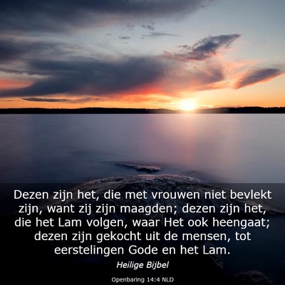 Picture 03 - Openbaring 14:4 NLD - Dezen zijn het, die met vrouwen niet bevlekt - Bible Verse Picture