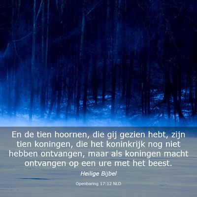 Picture 03 - Openbaring 17:12 NLD - En de tien hoornen, die gij gezien hebt, zijn - Bible Verse Picture