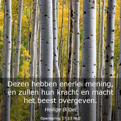 Picture 03 - Openbaring 17:13 NLD - Dezen hebben enerlei mening, en zullen hun kracht - Bible Verse Picture