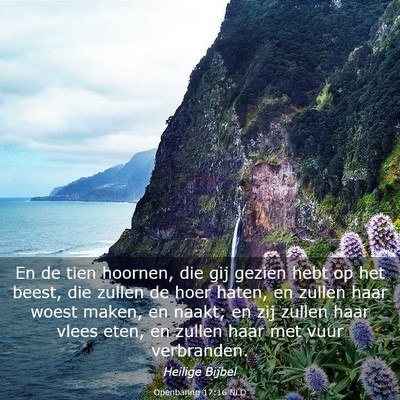 Picture 03 - Openbaring 17:16 NLD - En de tien hoornen, die gij gezien hebt op het - Bible Verse Picture