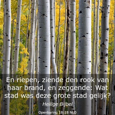 Picture 03 - Openbaring 18:18 NLD - En riepen, ziende den rook van haar brand, en - Bible Verse Picture