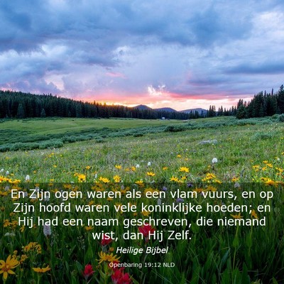 Picture 03 - Openbaring 19:12 NLD - En Zijn ogen waren als een vlam vuurs, en op Zijn - Bible Verse Picture