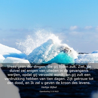 Picture 03 - Openbaring 2:10 NLD - Vrees geen der dingen, die gij lijden zult. Ziet, - Bible Verse Picture