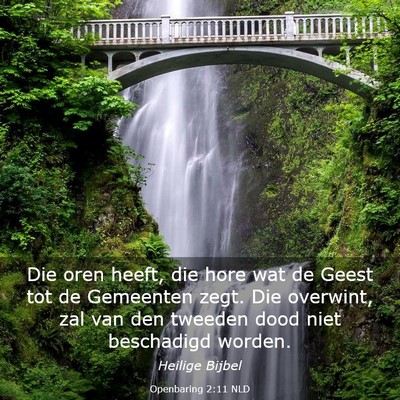 Picture 03 - Openbaring 2:11 NLD - Die oren heeft, die hore wat de Geest tot de - Bible Verse Picture
