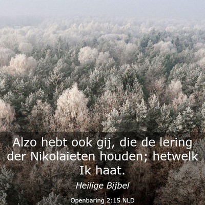 Picture 03 - Openbaring 2:15 NLD - Alzo hebt ook gij, die de lering der Nikolaieten - Bible Verse Picture