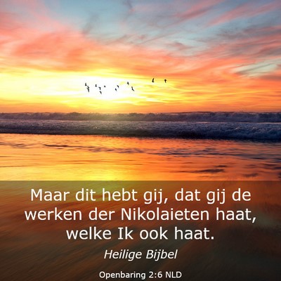 Picture 03 - Openbaring 2:6 NLD - Maar dit hebt gij, dat gij de werken der - Bible Verse Picture