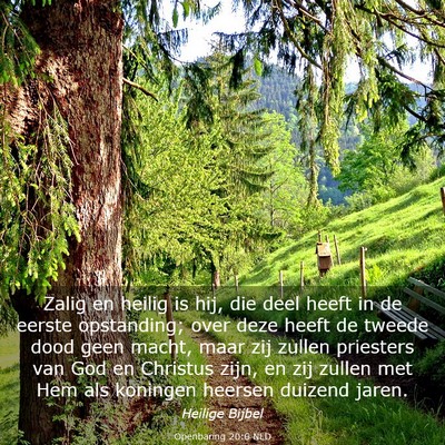 Picture 03 - Openbaring 20:6 NLD - Zalig en heilig is hij, die deel heeft in de - Bible Verse Picture