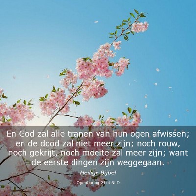 Picture 03 - Openbaring 21:4 NLD - En God zal alle tranen van hun ogen afwissen; en - Bible Verse Picture